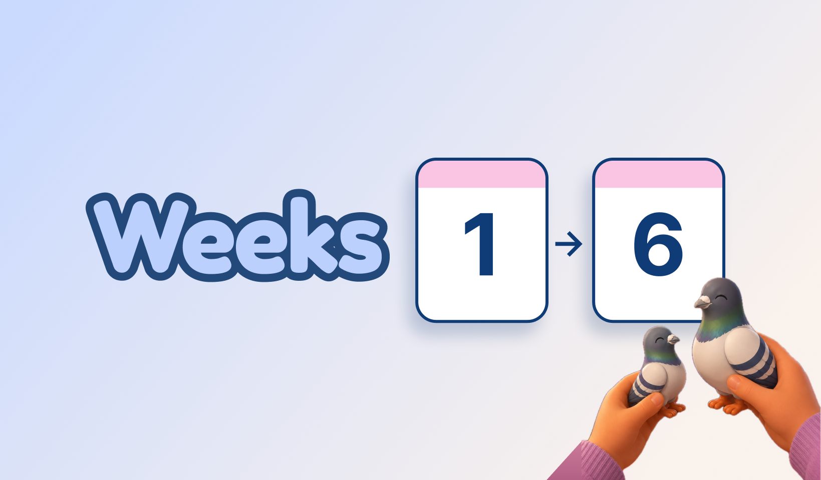 Weeks 1–6